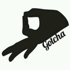 Meet your Posher, Boom